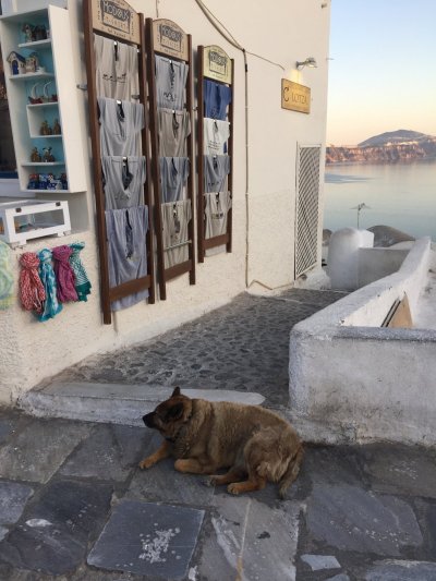 画像10: 『卒業旅行』★日本で1位（iTunes Store)獲得曲★/Graduation Journey (Japanese version) by LULUDIA（ルルーディア）