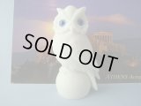 【ＳＯＬＤ　ＯＵＴ　ありがとうございました！】【ゆうパック】（ギリシャ雑貨）ふくろうのレプリカ（白）